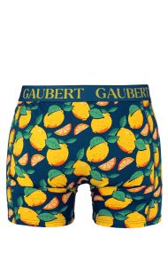 Lemon veselé boxerky bavlna GBP-024